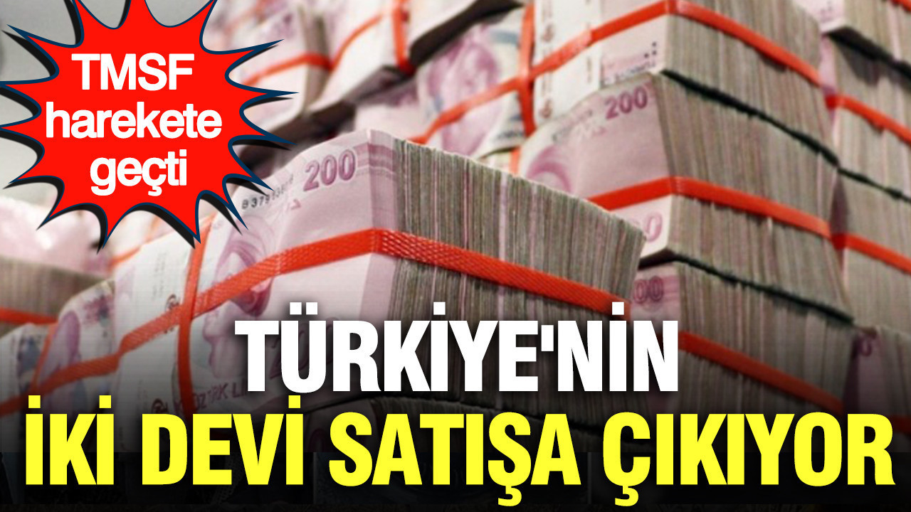 TMSF harekete geçti: Türkiye’nin 2 devi satışa çıkıyor